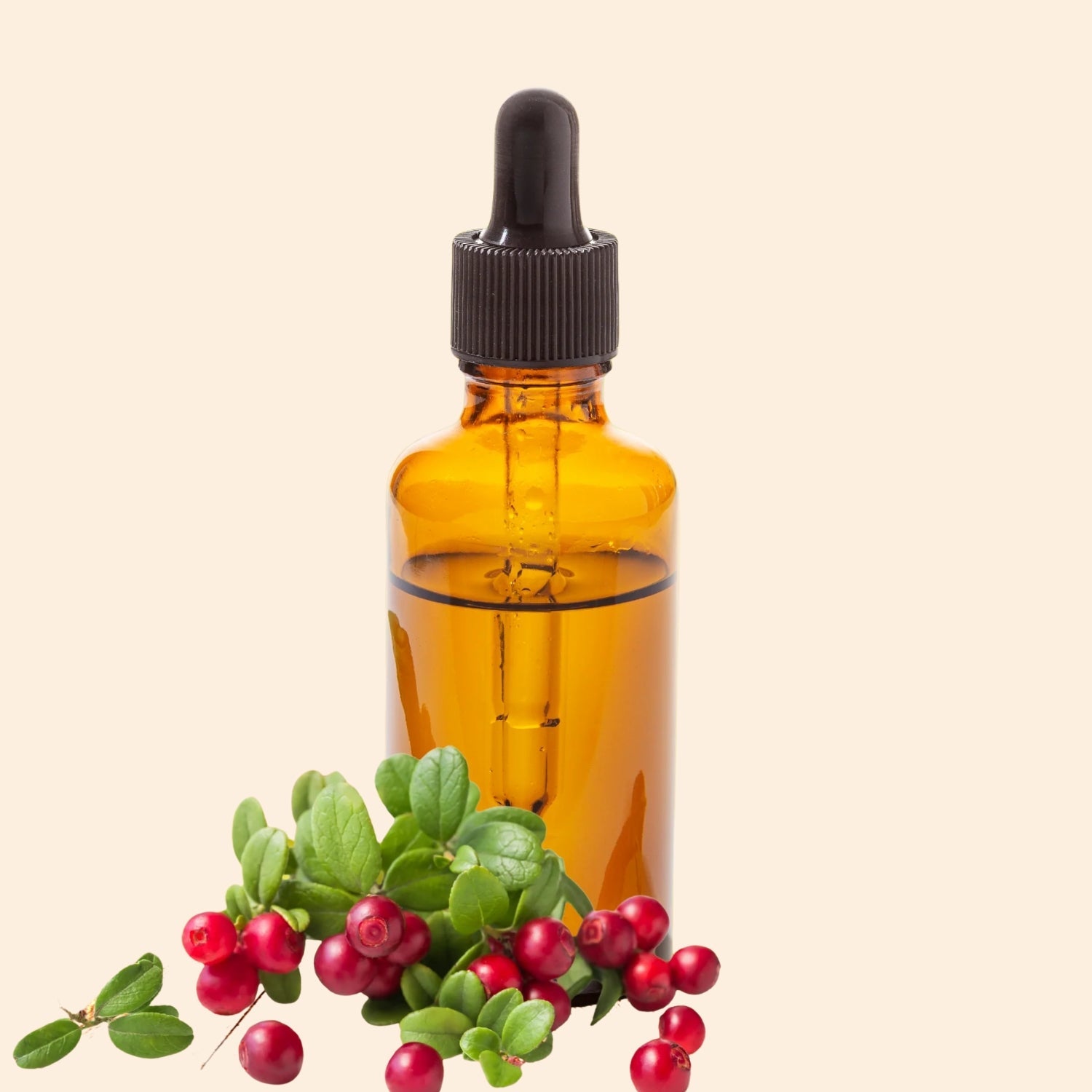 Wild Cherry Berry Herbal Liquid Extract Wild Cherry Berry Herbal Liquid Extract